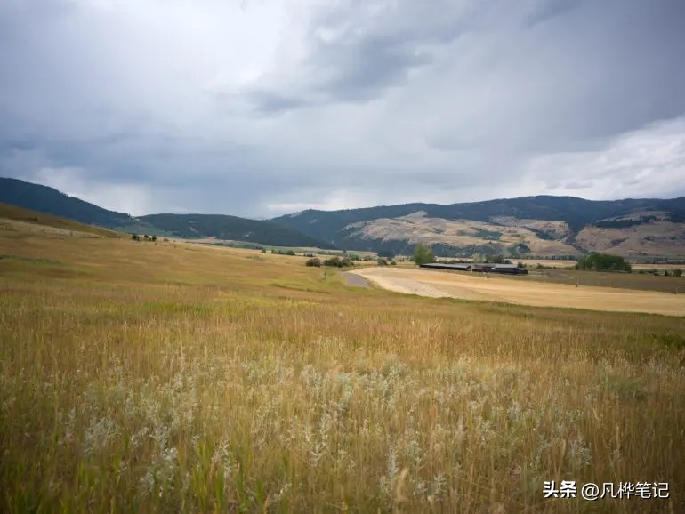 哈苏x2d100c视频,哈苏x2d100c与50c区别