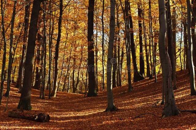 给时光一个回眸给岁月一份暖意,给岁月一个回眸给时光一个印记