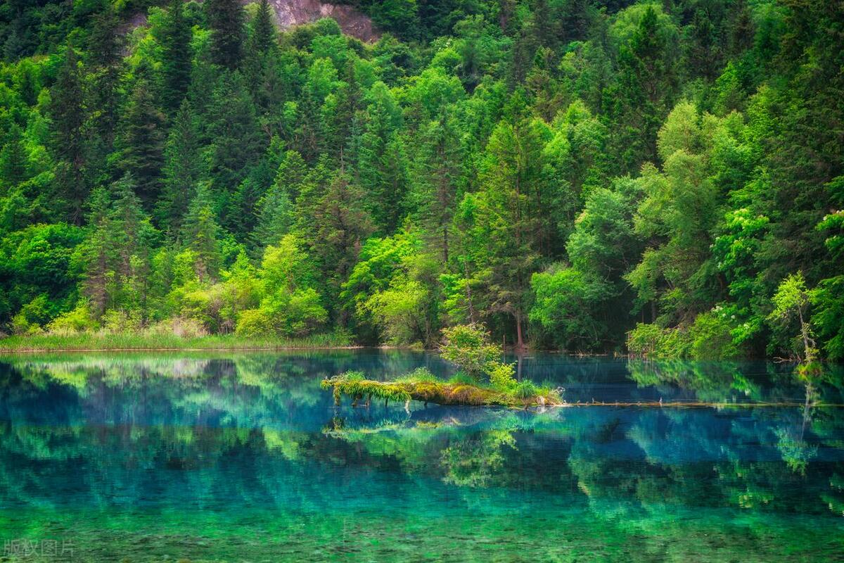 九寨沟游玩攻略最新版本视频,九寨沟旅游最新攻略景点