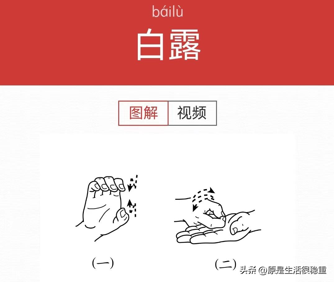 用手说话|今日学习手语——节气的第三部分