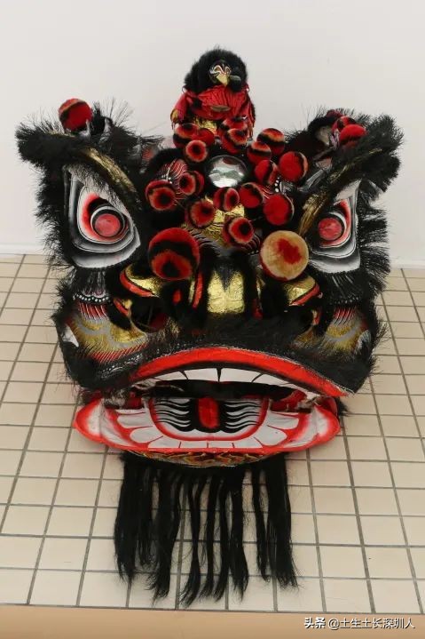 醒狮和瑞狮的区别在哪,醒狮的运动特点