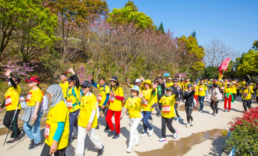 登高望远山水美,登高望远山水图