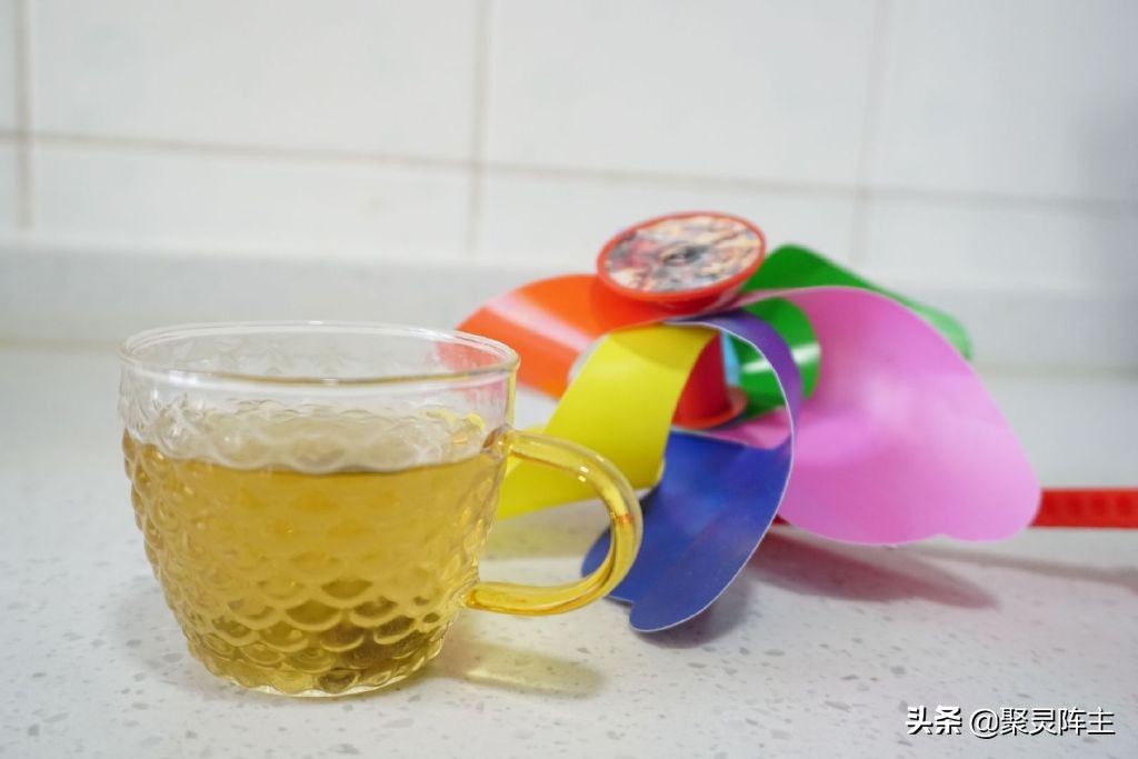 博世破壁机都有哪些功能,博世破壁机对比wmf破壁机