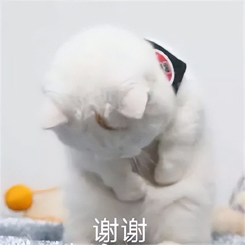 花旗银行有倒闭风险吗,花旗银行倒闭了吗