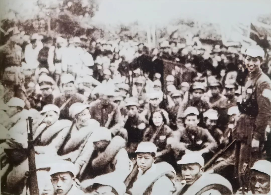 凤山下的红荼薇——记隐蔽战线上的白衣天使萧琼芝同志