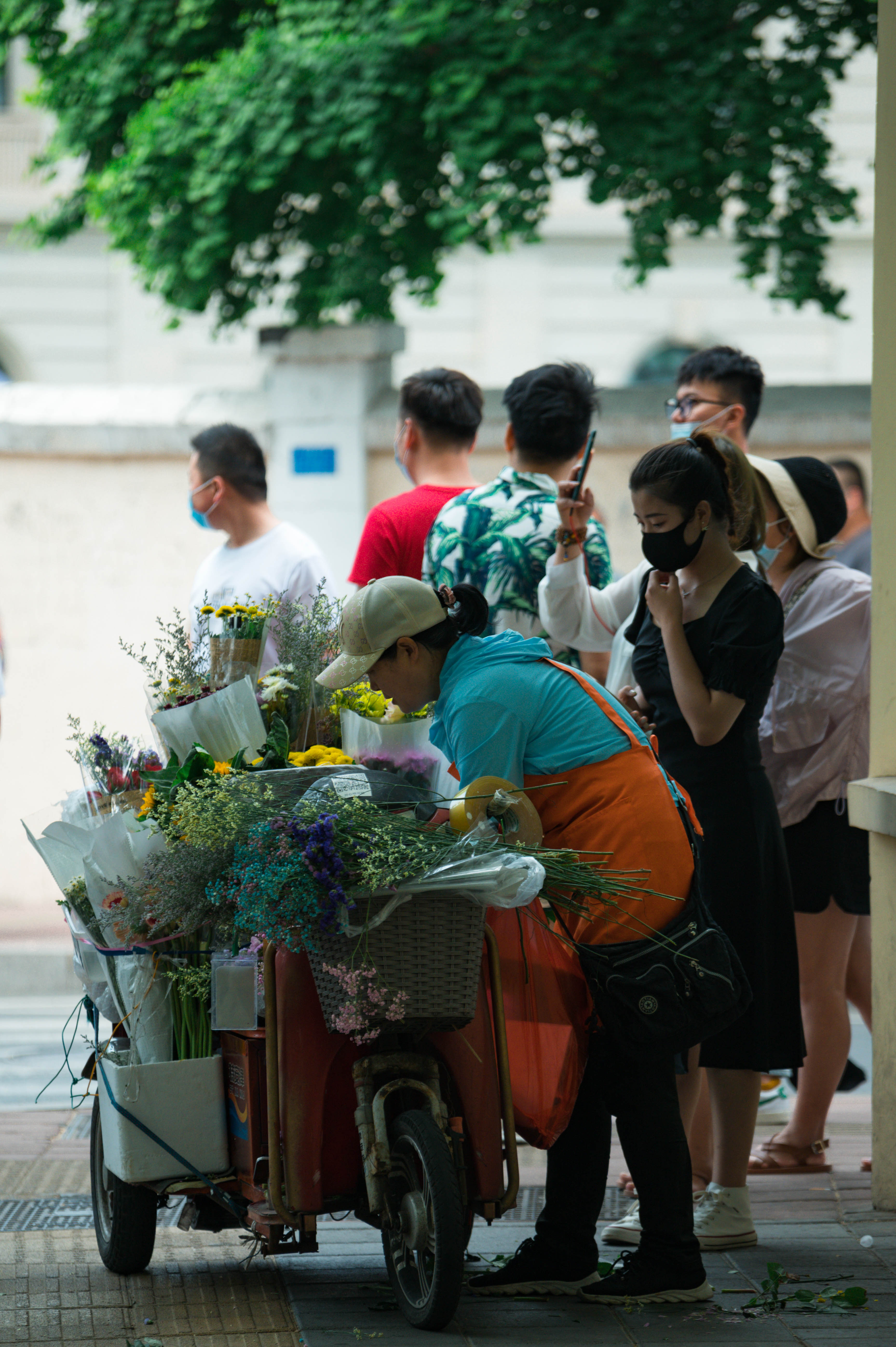 青岛世博园蔷薇花墙,青岛网红墙推荐