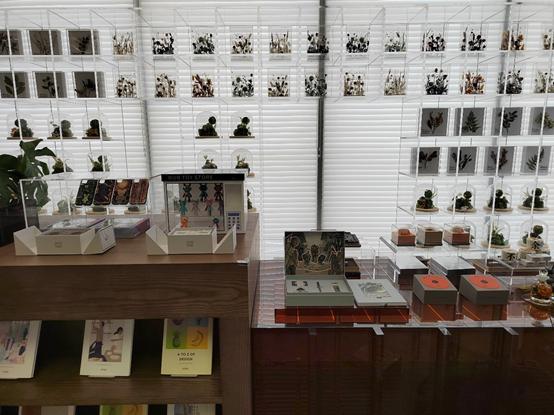 沉浸式体验远洋天成营销中心开放，美得不像售楼部