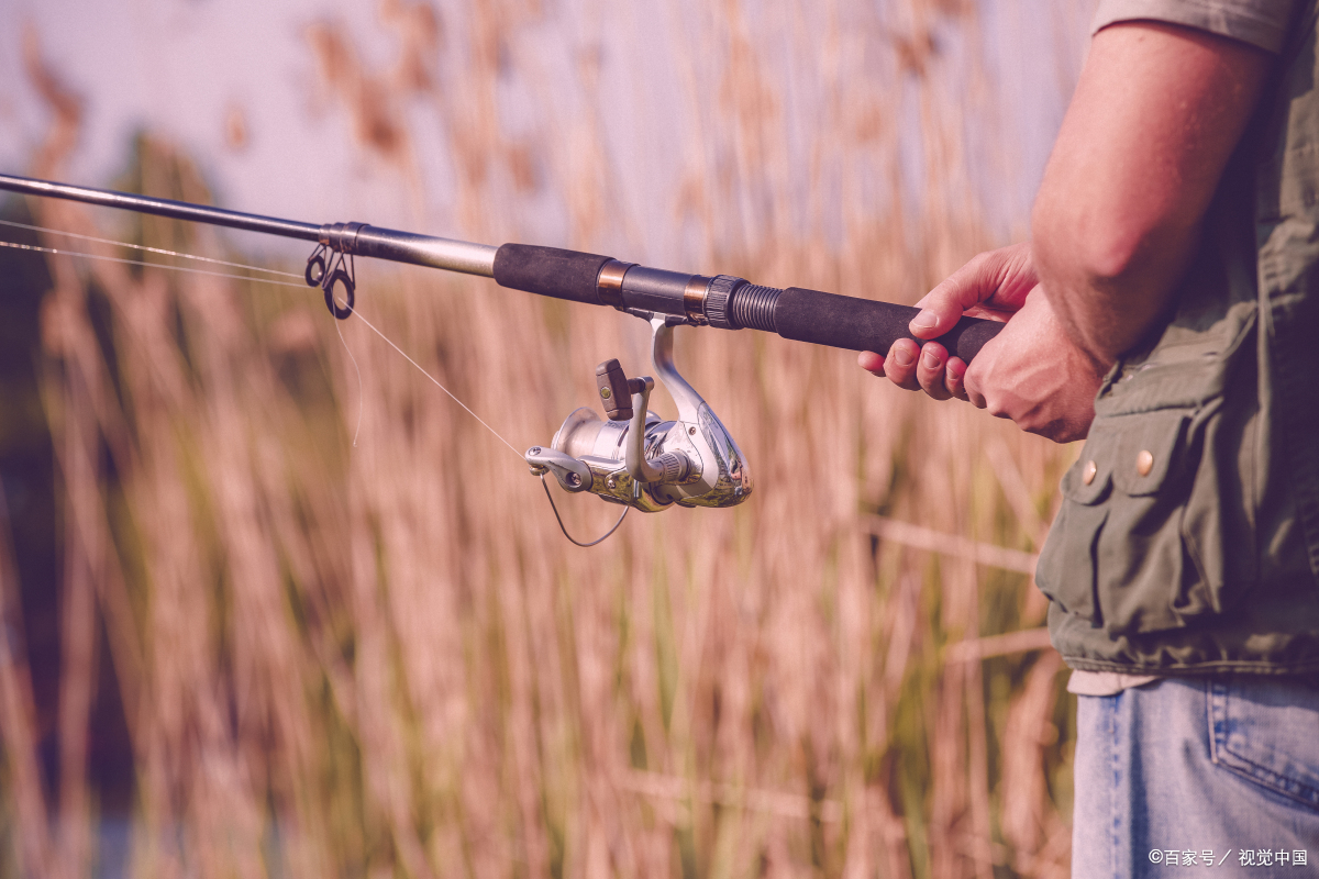 路亚野钓纺车轮路亚竿推荐,路亚竿钓白条路亚竿推荐