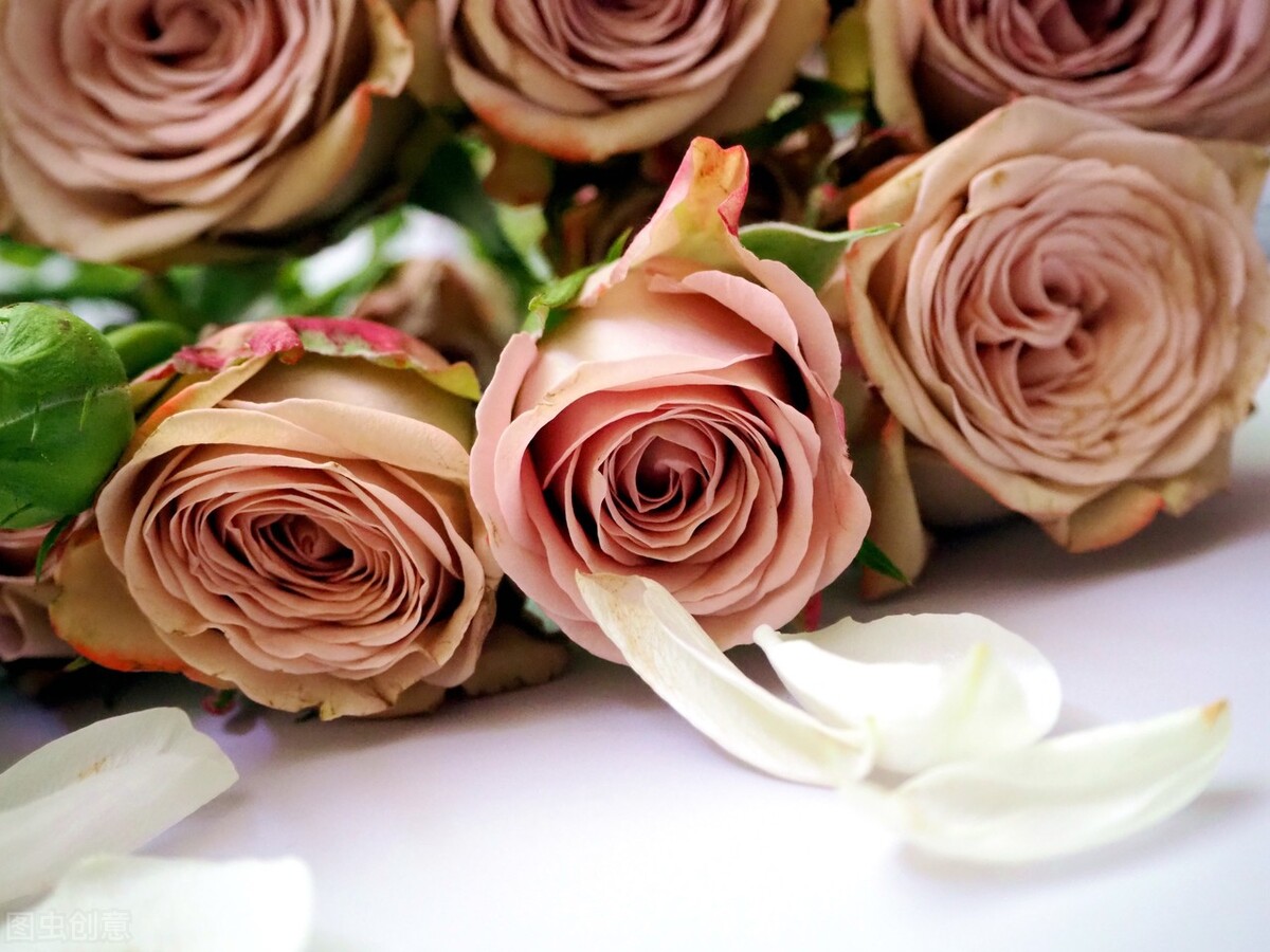 坦然面对生活中困境和逆境,面对困境乐观坦然的议论文