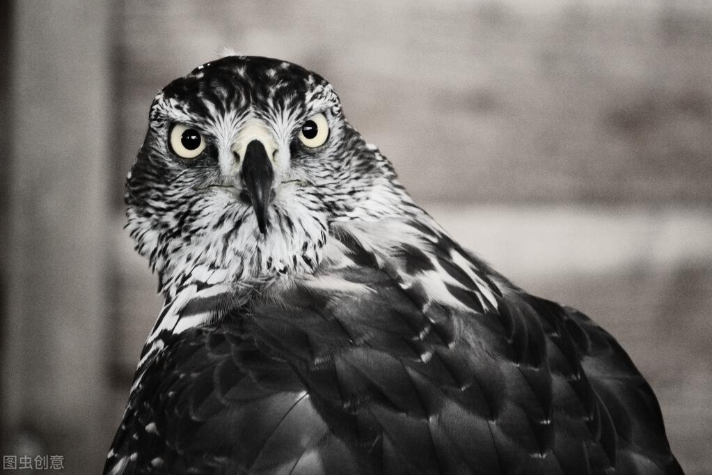 揭秘兰州往事,兰州往事马爷故事