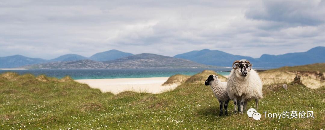 威尔士海边旅游攻略,英国威尔士夏天旅游攻略