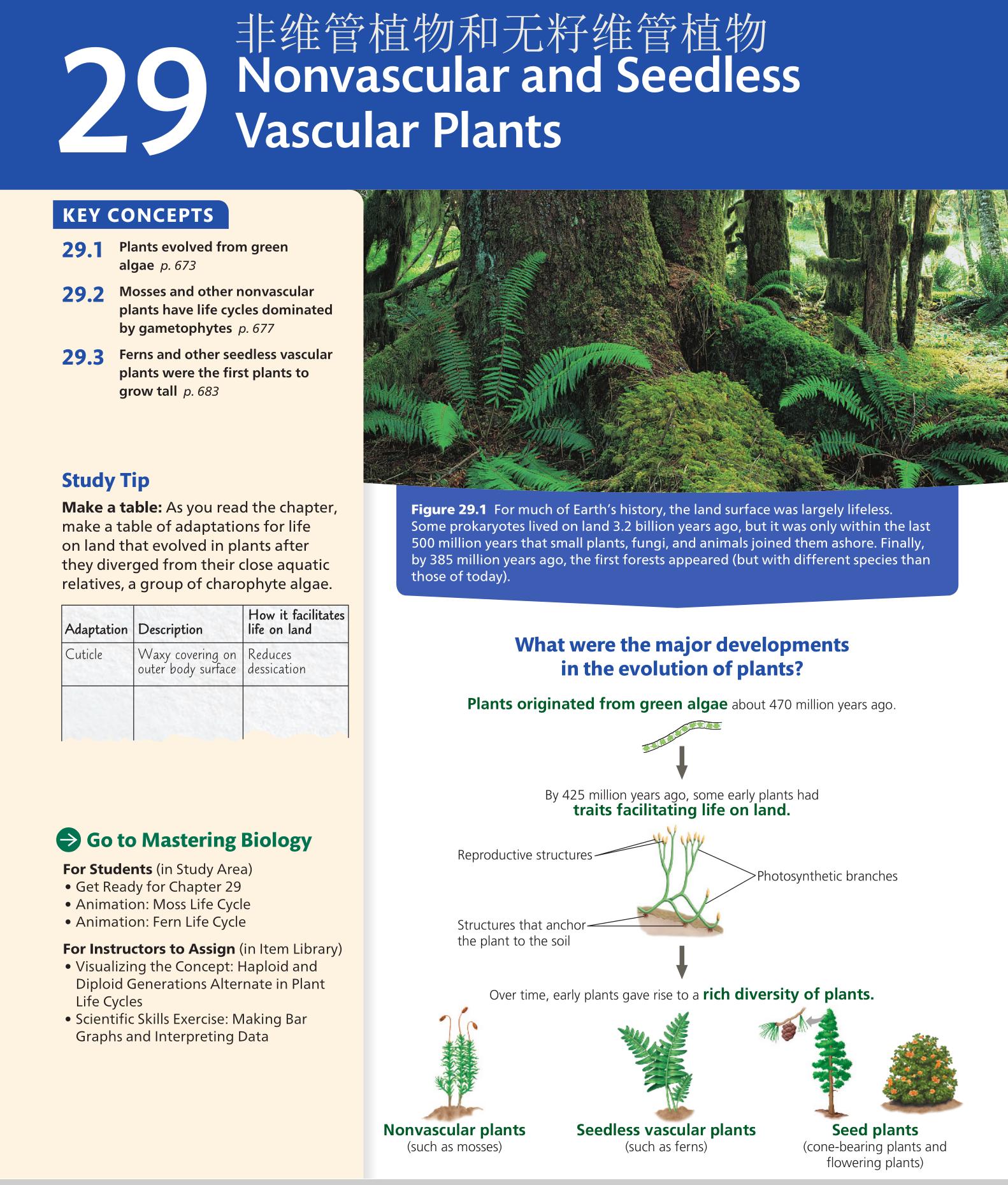 小学英语900单词1到6年级,小学英语900个常用词