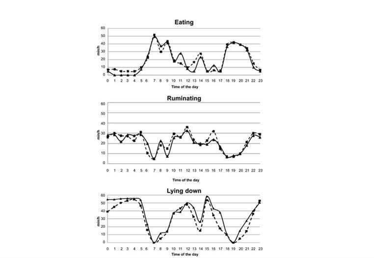 挤压豌豆作为有机高山农场奶牛饲料，为奶牛提供大豆蛋白是否可行