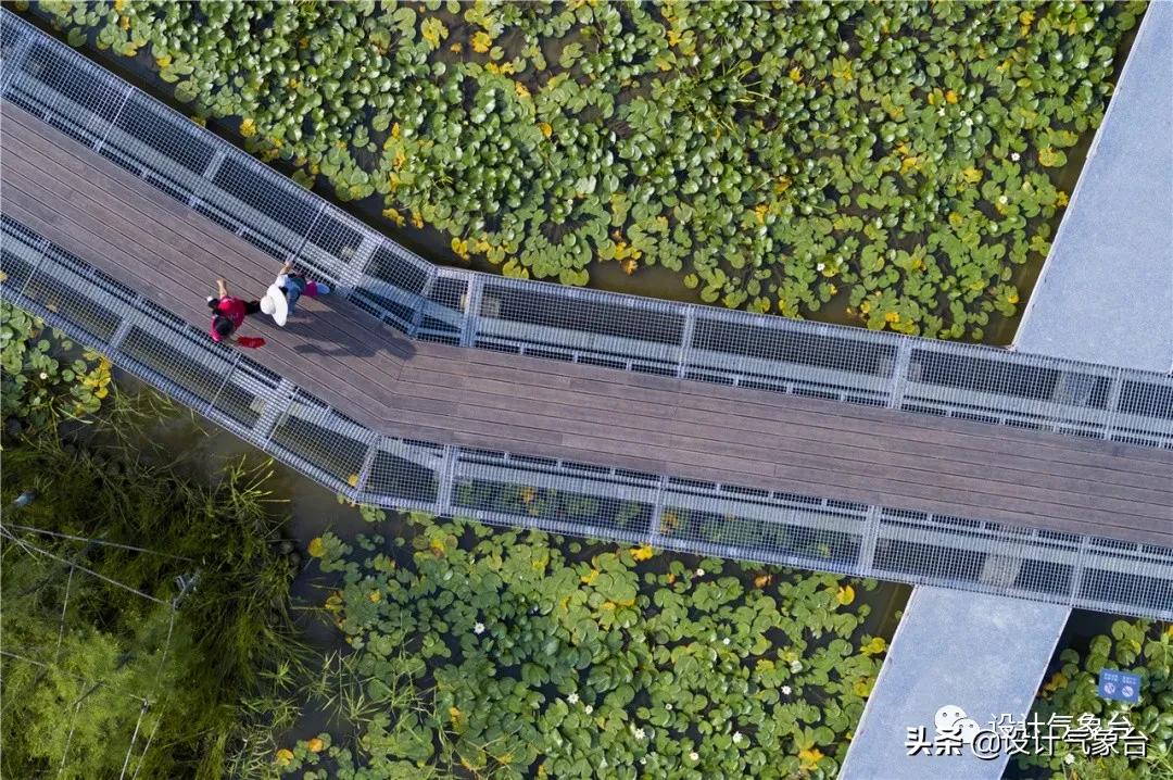 俞孔坚的设计作品,俞孔坚景观设计学