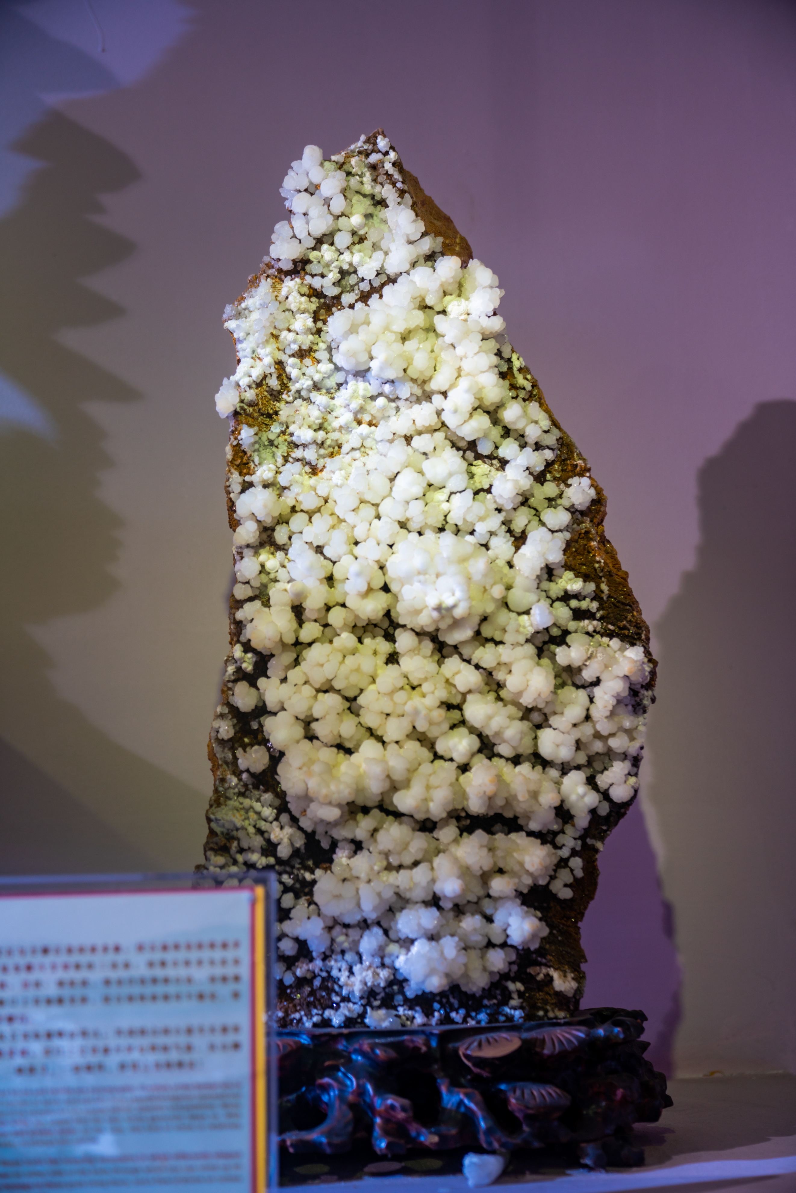 粤晖园国庆游,粤晖园自驾游攻略