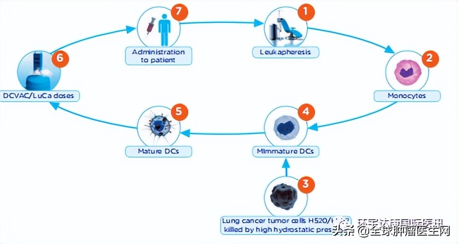 唤醒体内免疫细胞,唤醒免疫力