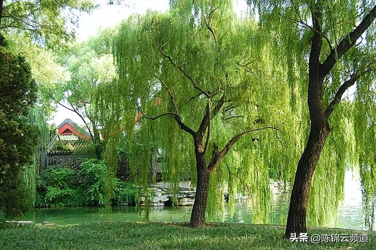 关于重阳节春节清明节的古诗,清明节积累关于传统节日的古诗词