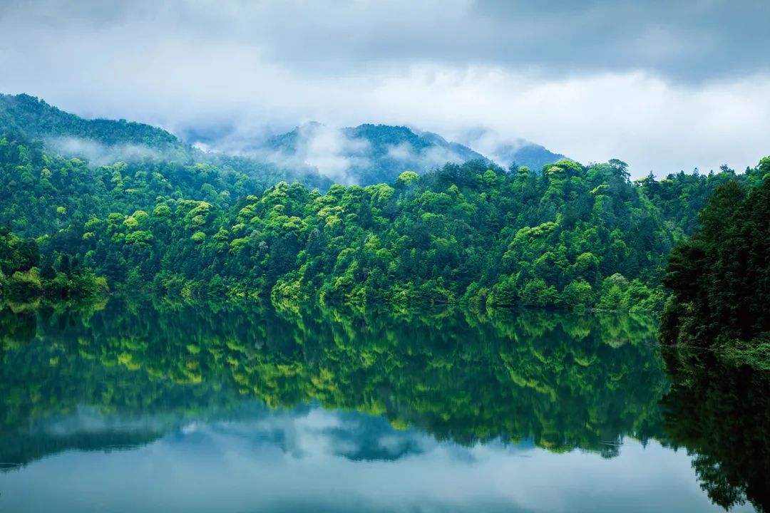火热的周边游喂饱了本地生活,划算的周边游