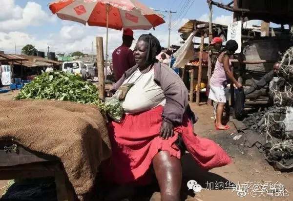 山海经2012白话全译彩图版pdf,山海经海外西经是指哪里