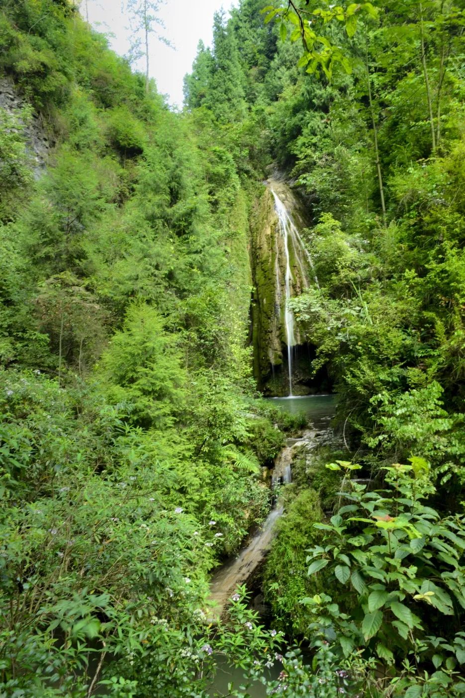 万州潭獐峡风景区攻略,重庆万州潭獐峡介绍