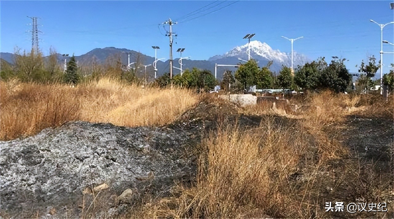 日本人租地闲置五年,日本人租1500亩地闲置