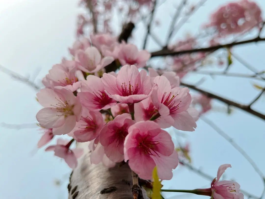 错过了一个秋天,错过了一个春秋