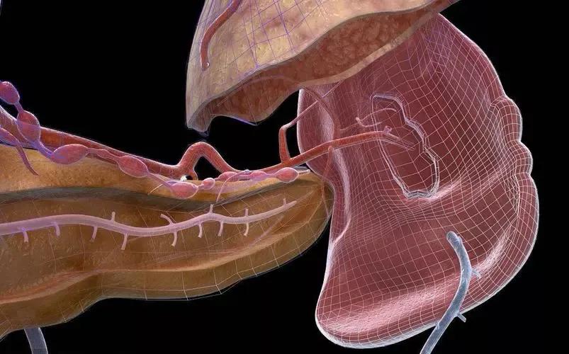 脾虚眼袋改善方法图谱,脾虚型眼袋怎么调理