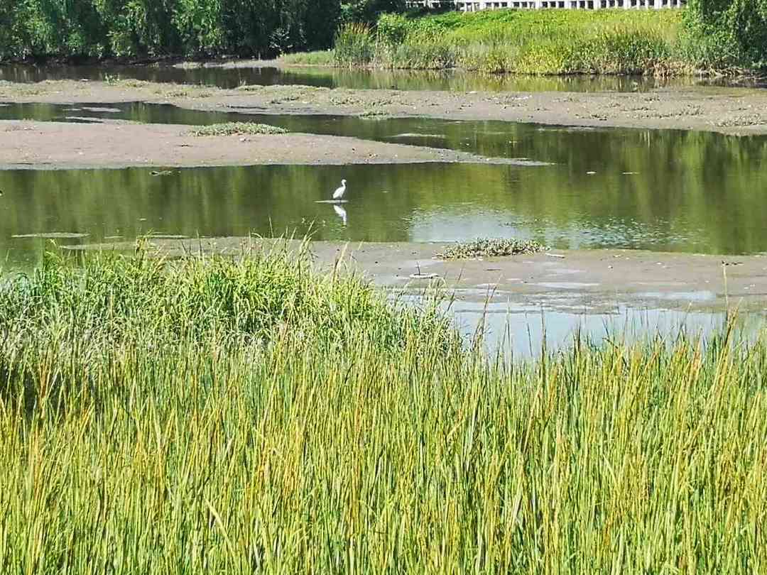 你喜欢夏天吗是什么梗,你喜欢夏天吗