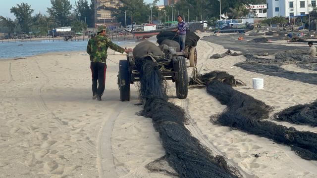 海南印象：女人太能干了，海边晒的大鱼*你干**认识吗？