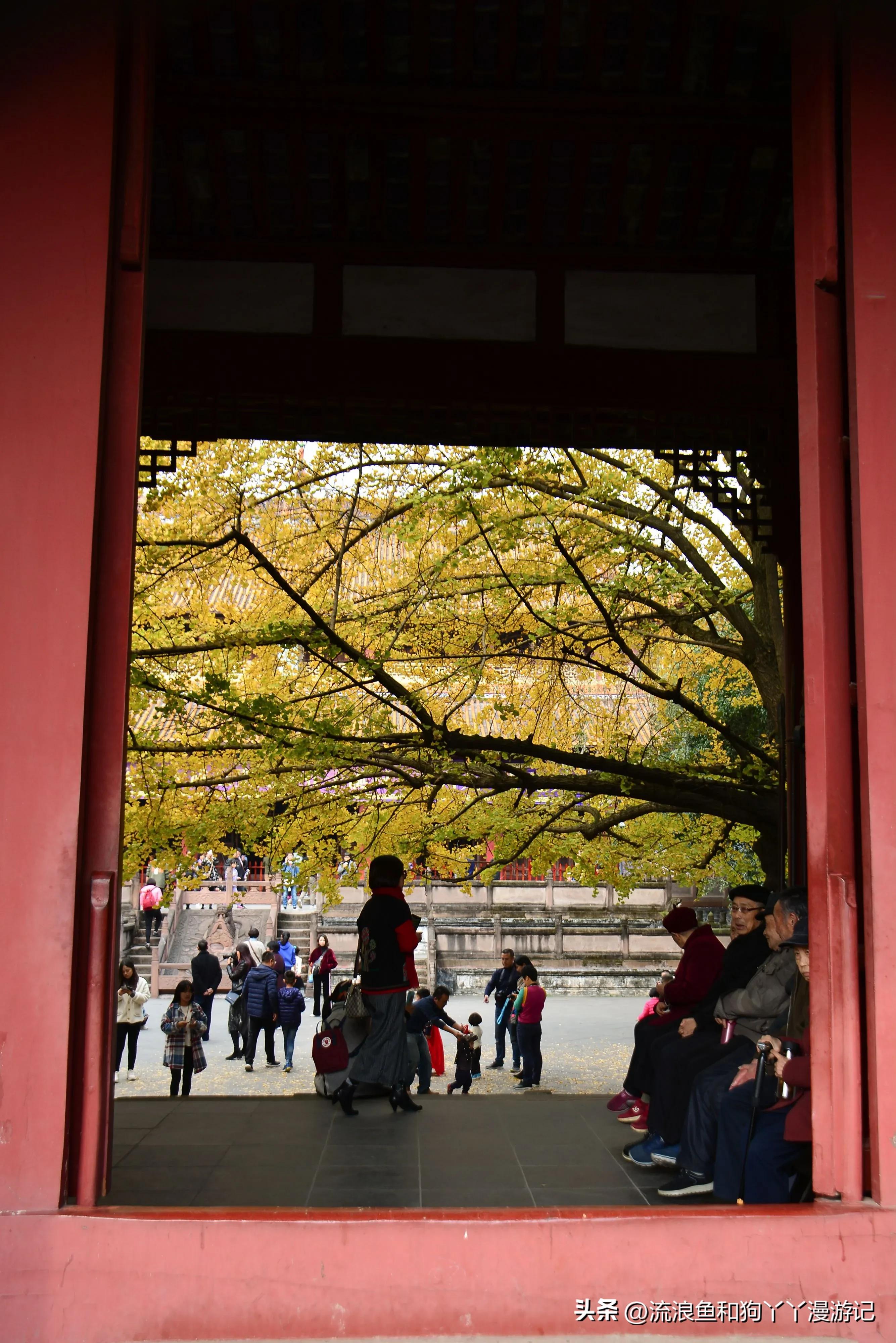 四月份成都近郊一日游好去处,2022成都近郊看雪一日游最佳去处