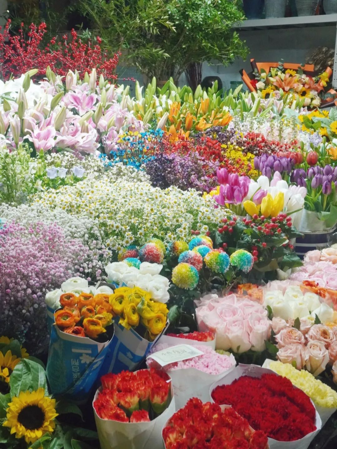 人间芳菲盛，浪漫满怀时！520济南必逛10家宝藏花市指南！