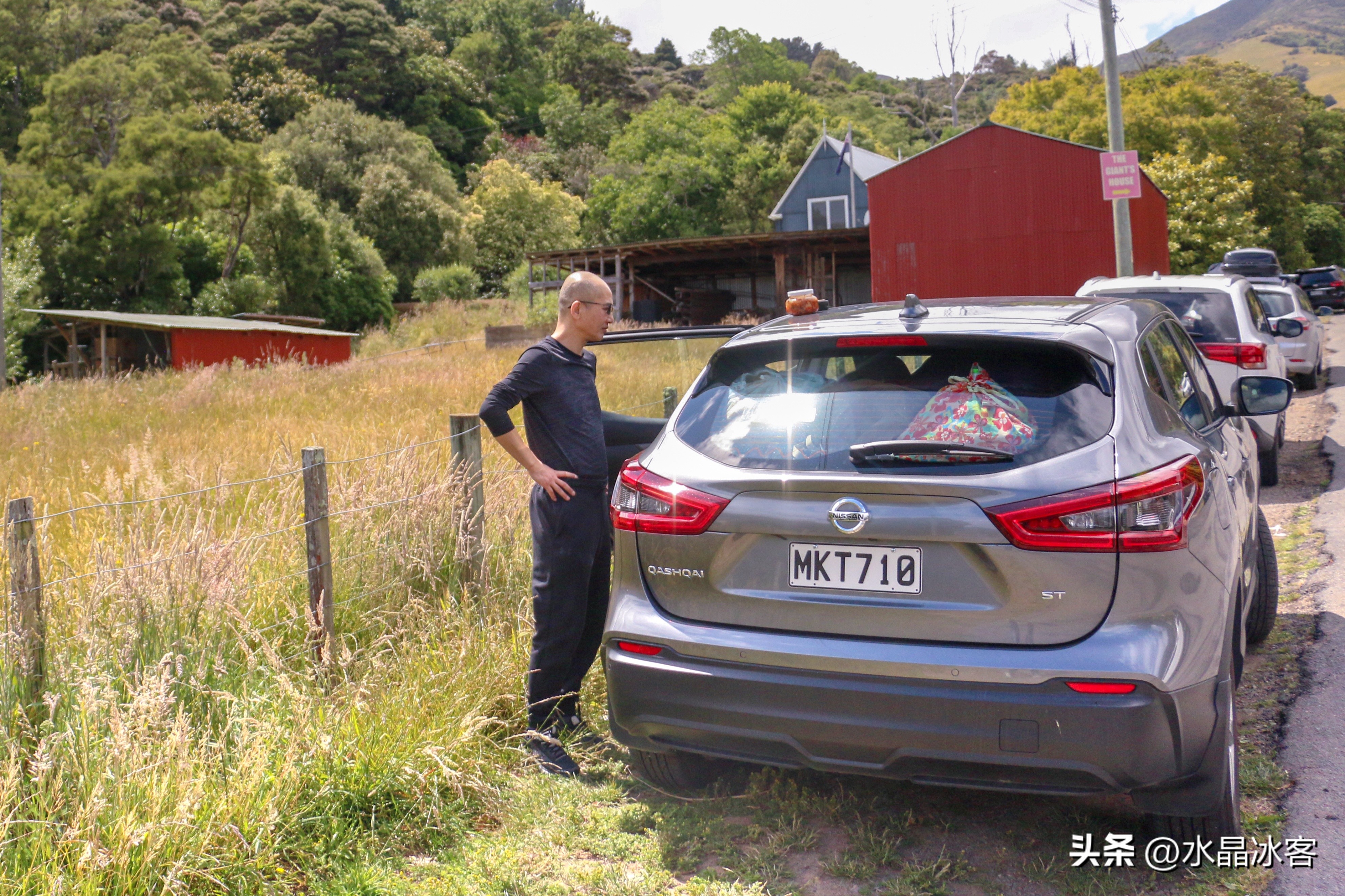 南岛新西兰之旅,新西兰之南岛