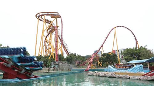 广州长隆动物世界两大两小一日游,广州长隆欢乐世界十一假期游玩