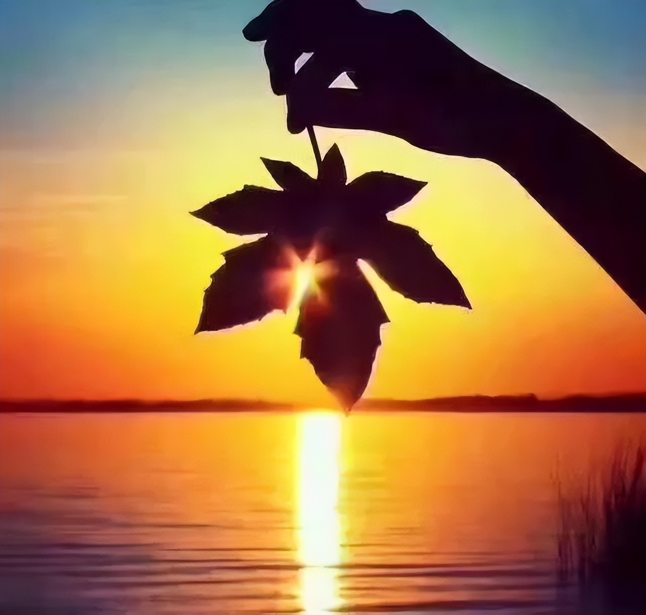 「今日作家」李延平‖平凡中的日子（散文）