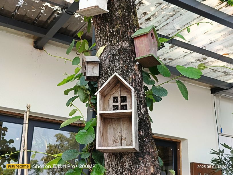 realme真我11pro拍照变焦,realme真我11pro拍照测评