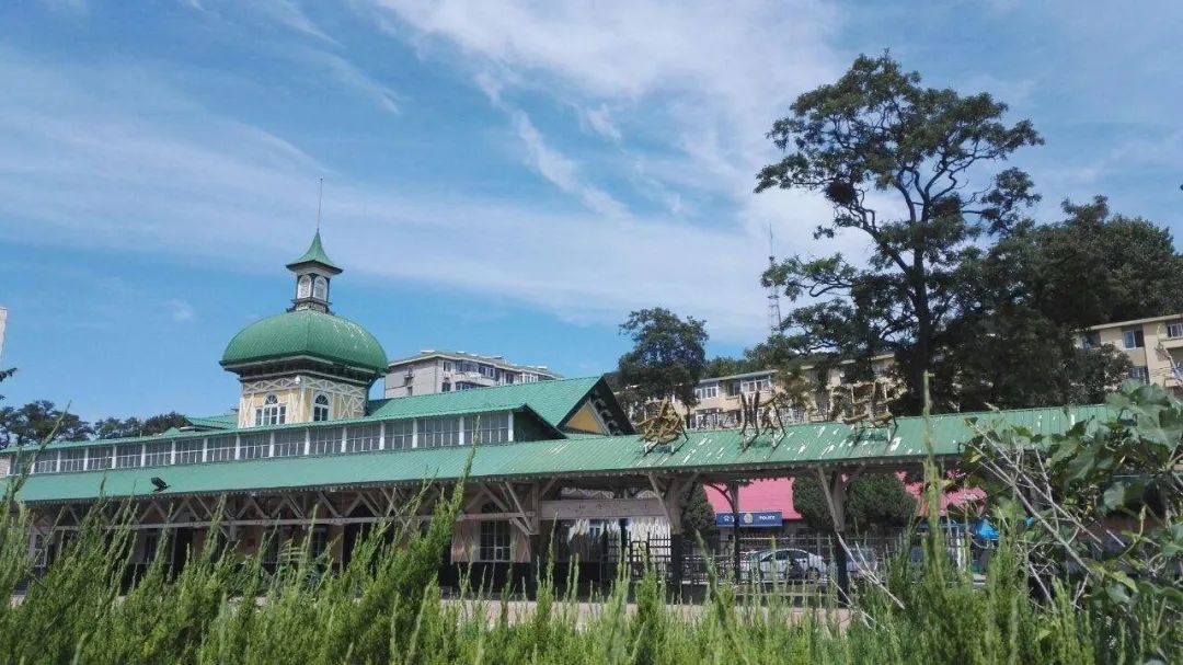 大连是哪座城市的,大连到底算几线城市