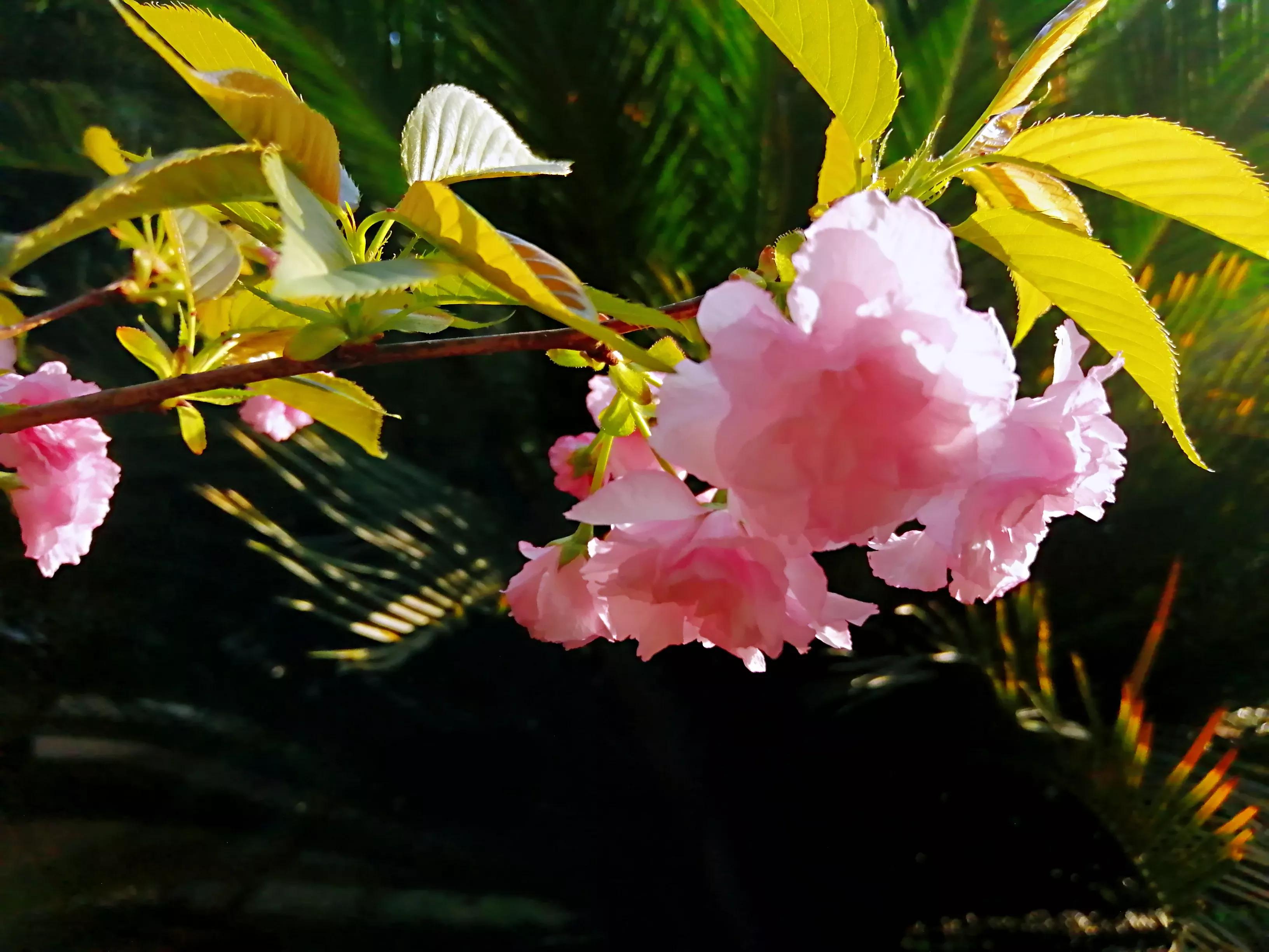 想不通的事情选择放下,想不通的事情暂时放下没事吧