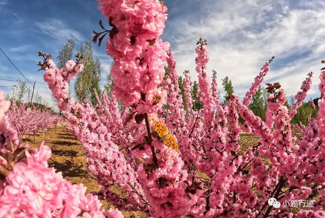 密云自驾游最美路线攻略,骑行密云水库最佳观景地方