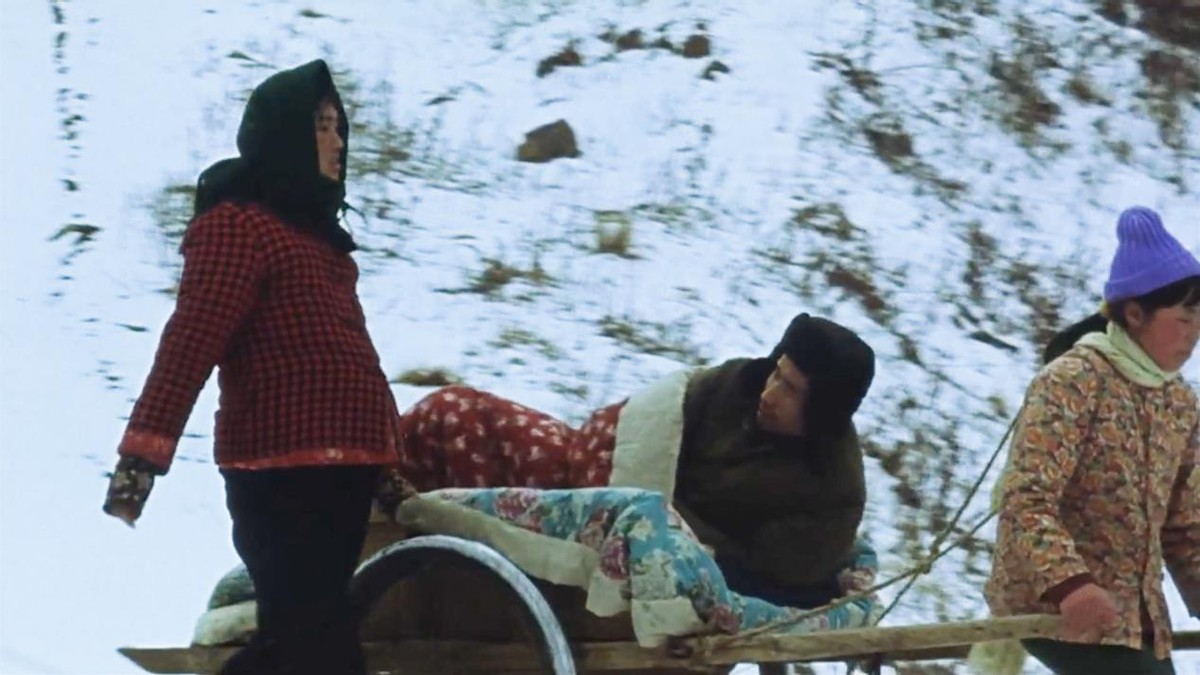 2020国产电视剧排行榜前十名豆瓣,豆瓣评分9.5以上的国产爱情电视剧