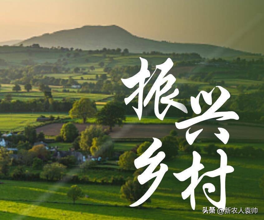 打造乡村振兴特色农产品品牌方案,一村一品推动特色农产品发展