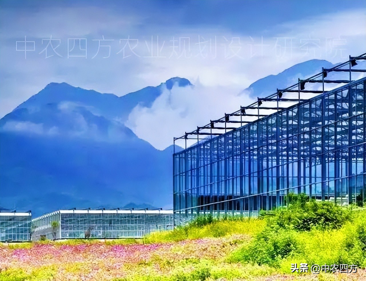 现代农业助推传统农业转型升级,农业新业态新模式