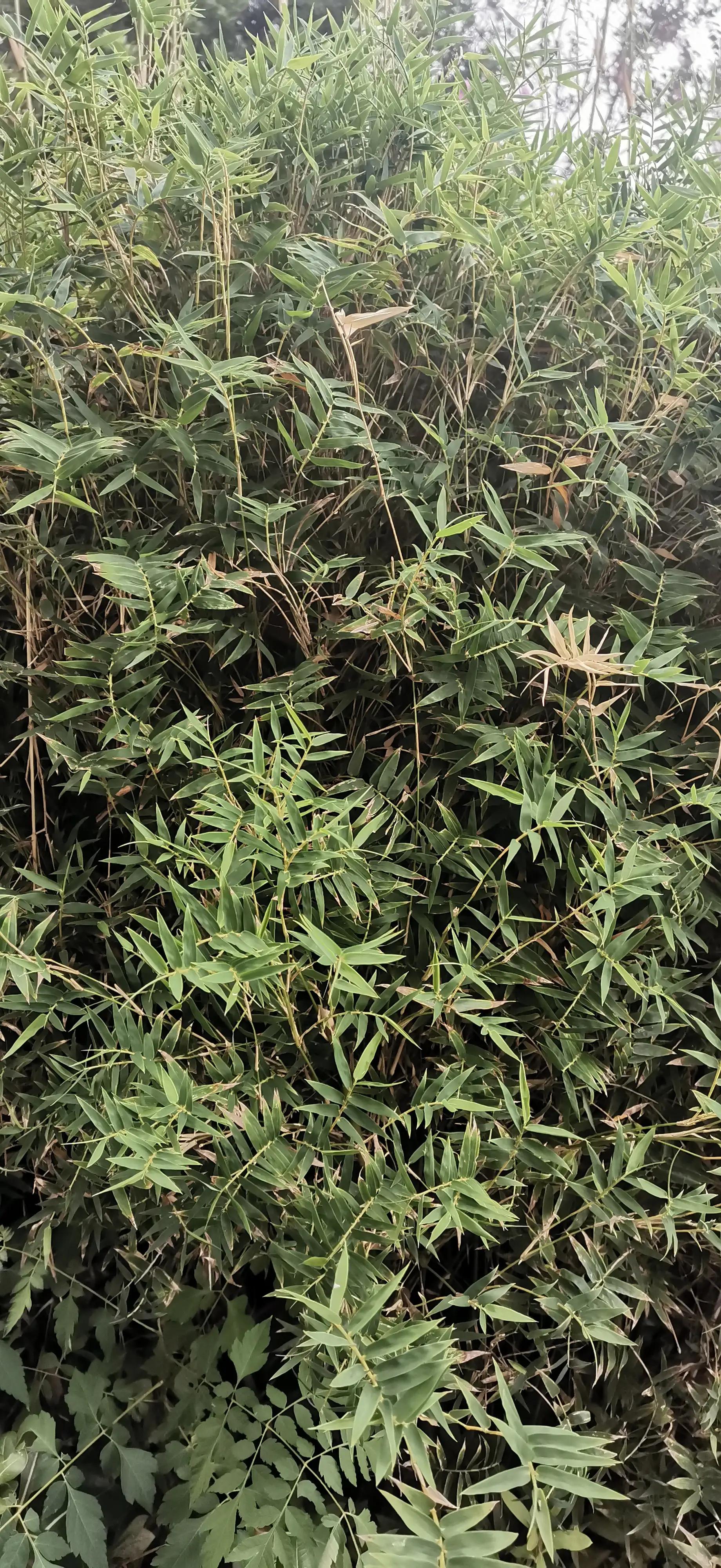 闺蜜喝酒幽默笑话搞笑段子,赌博幽默笑话大全搞笑段子