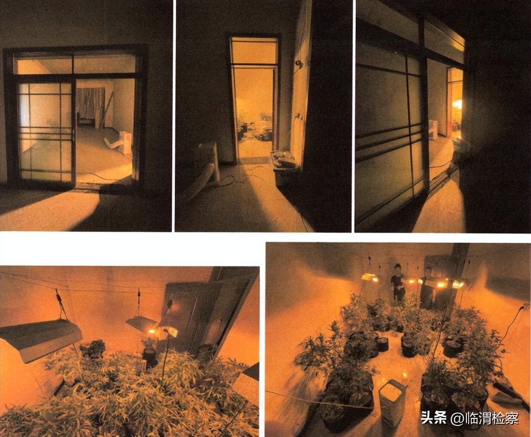 用电量猛增的暗室秘密…