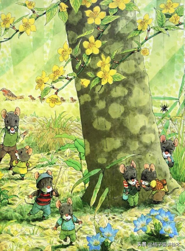 绘本十四只老鼠去春游简介,绘本14只老鼠去春游视频