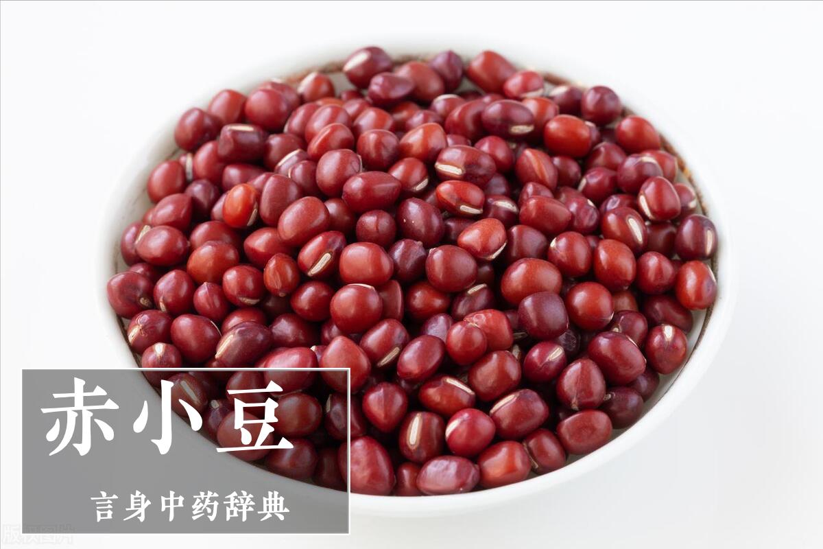 赤小豆清热吗,赤小豆瘦肉汤清热解毒吗