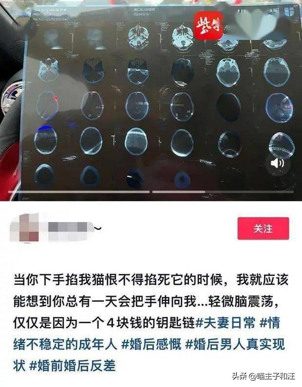猫被打成脑震荡,猫咪被我打成应激脑震荡