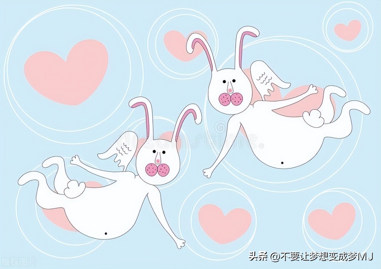 推荐给另一半看的电影,推荐与恋人一起看的电影