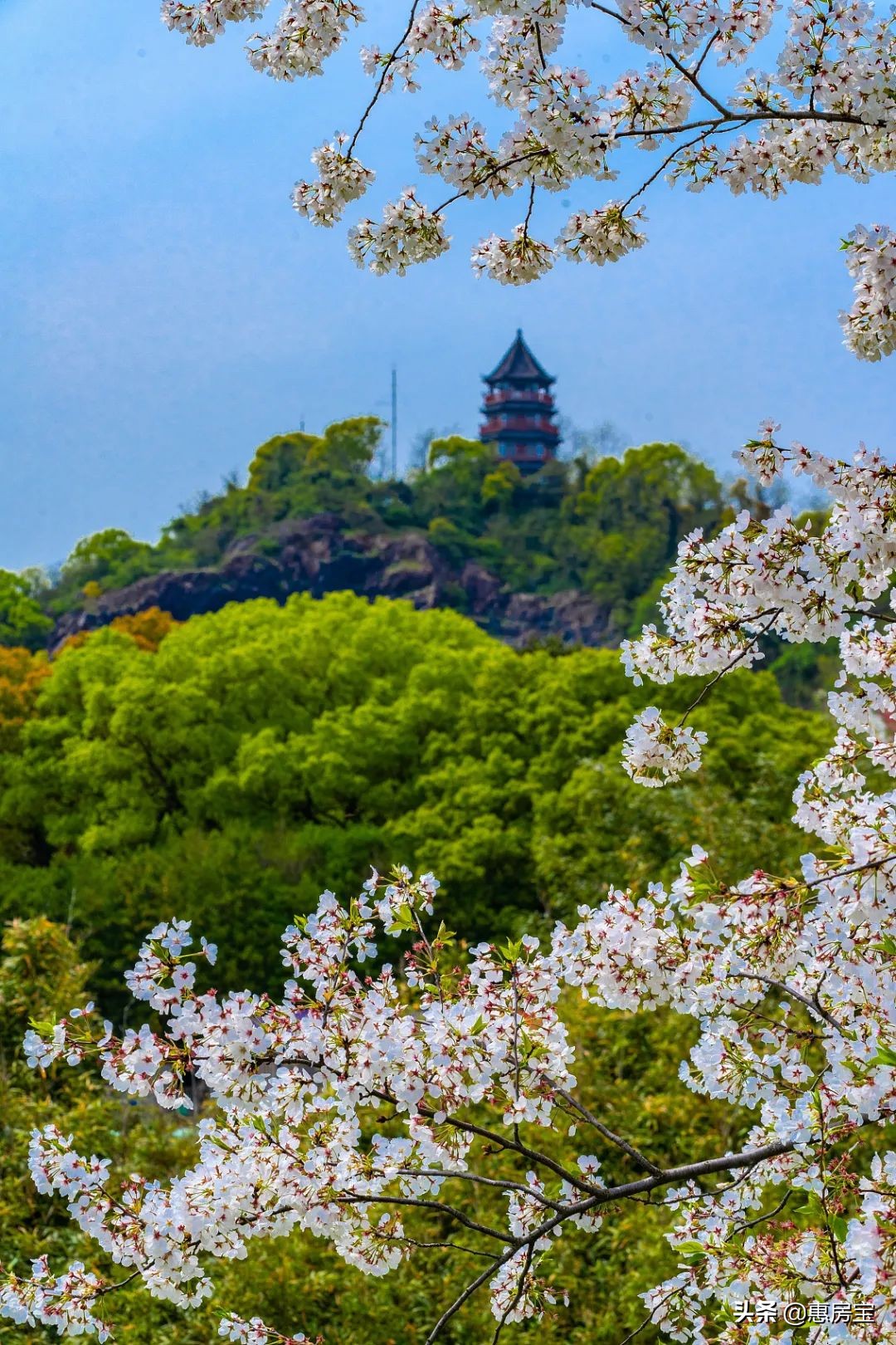 上海公园免费,上海免费公园排行