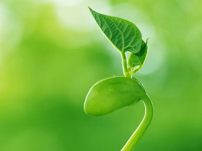 透析十多年是怎么坚持下来的,31岁透析能坚持多久