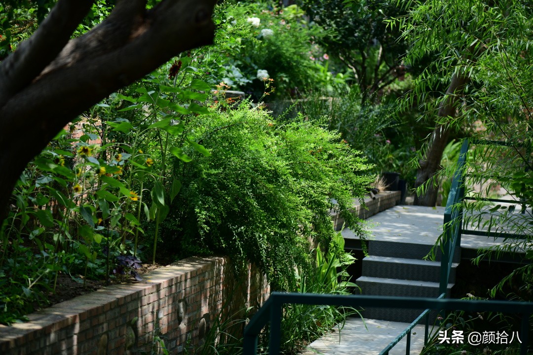 看到你的花园那么惨，我就安心了|园丁